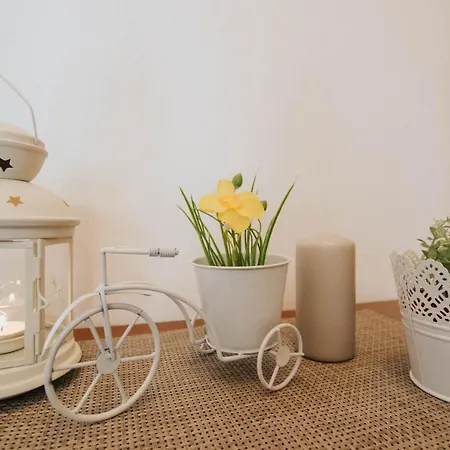 Apartman Stipe&petra * טרוגיר